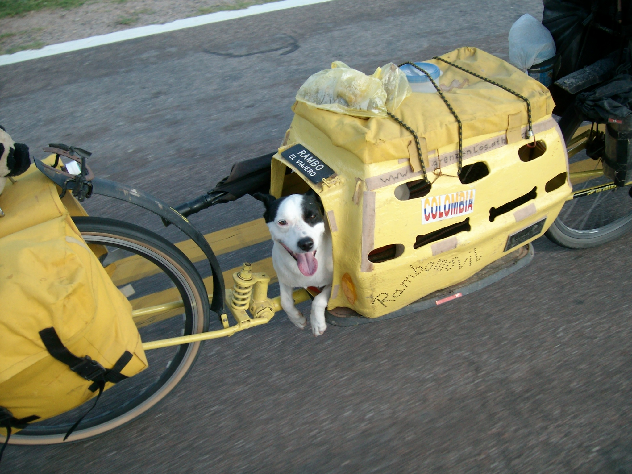 dog bike trailer for 2 dogs