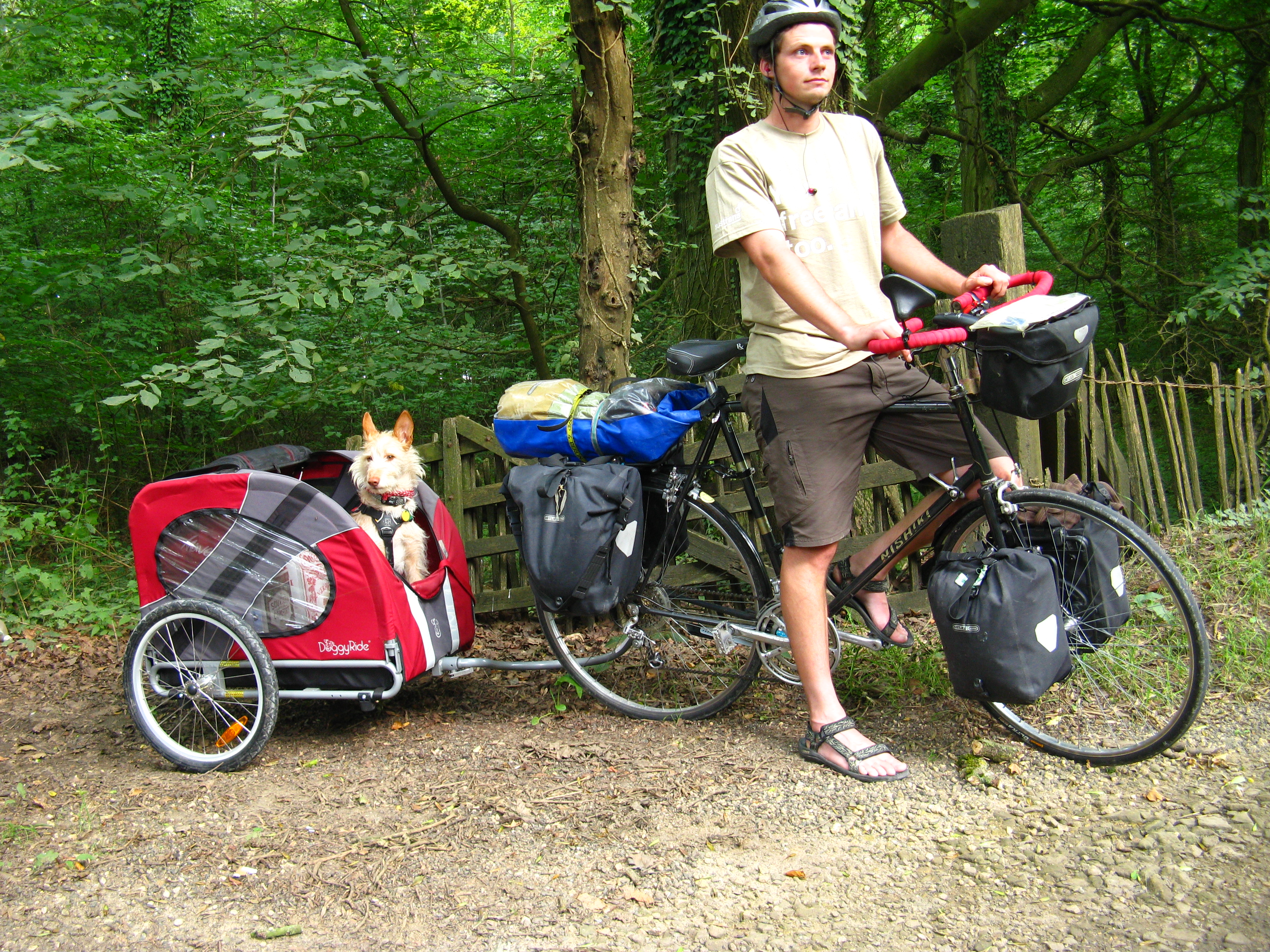 road bike dog carrier